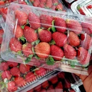 

BUAH STROBERI 1 PAK