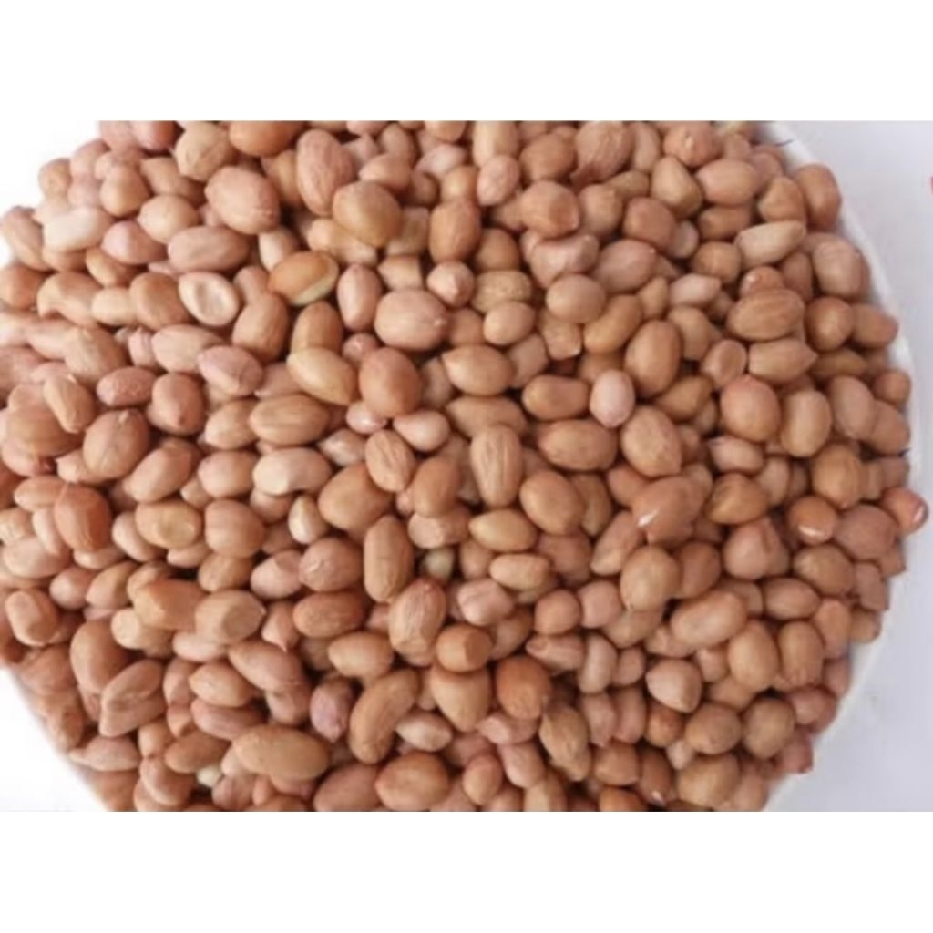 

KACANG TANAH MERAH 1KG