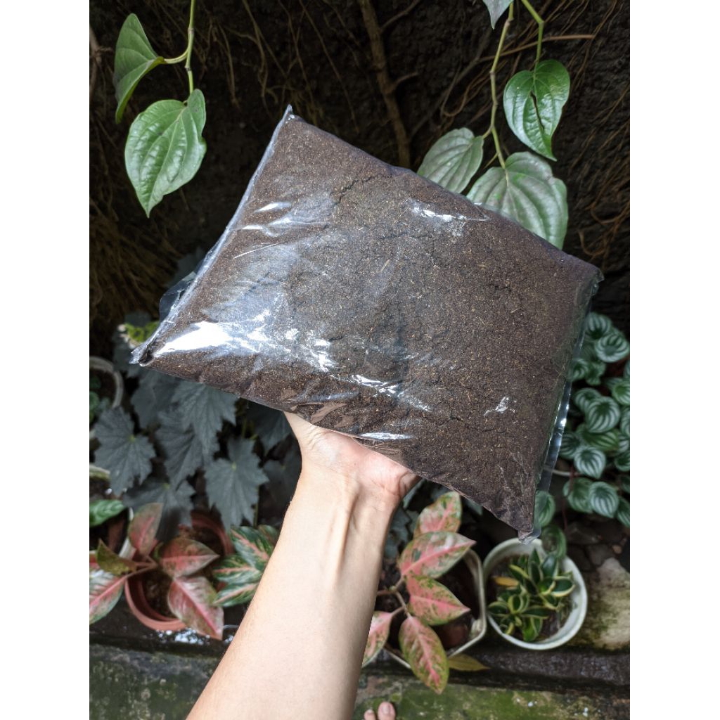 Pupuk kandang kambing organik asli halus super kohe petani tanaman subur kebun kompos sekam