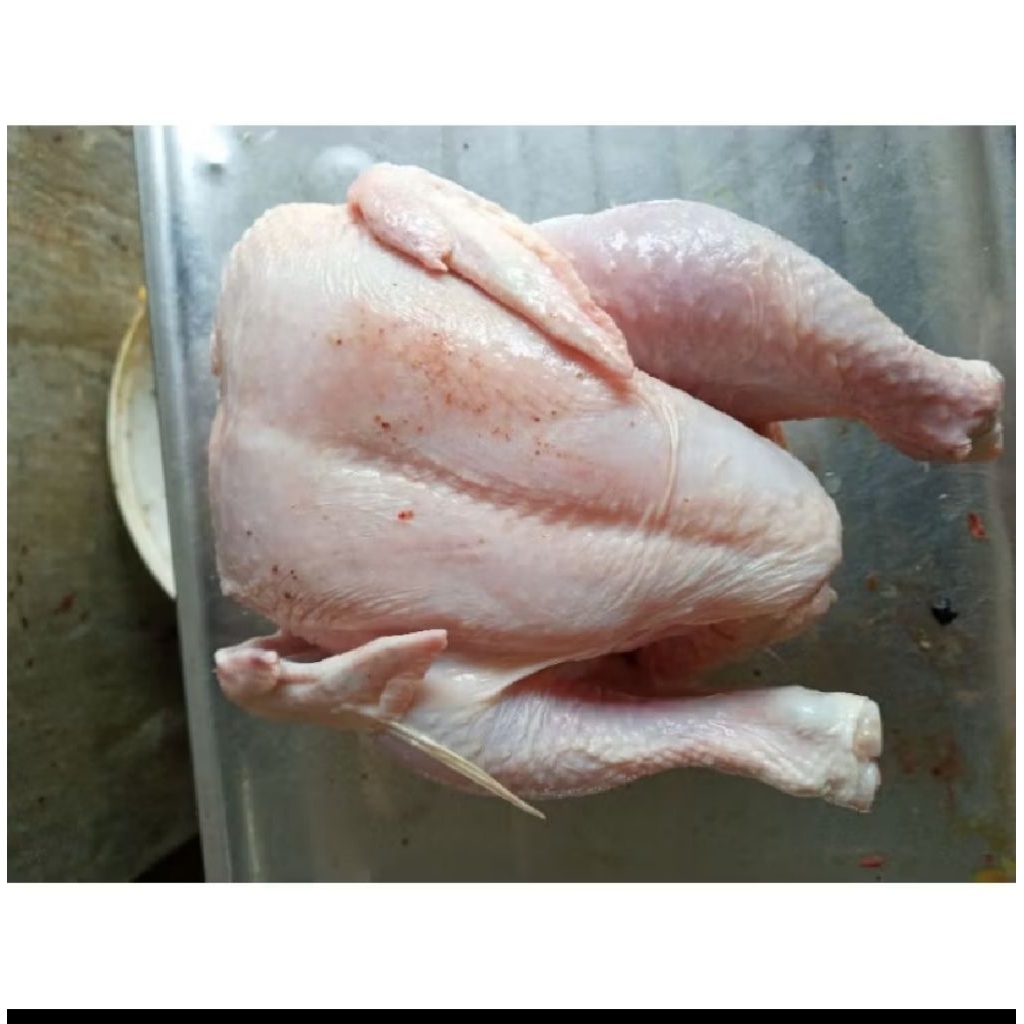 

Ayam broiler size 800g frozen segar. halal harga grosir bisa cat admin