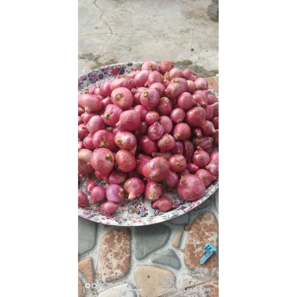 

bawang merah 1 kg asli garut ukuran campur