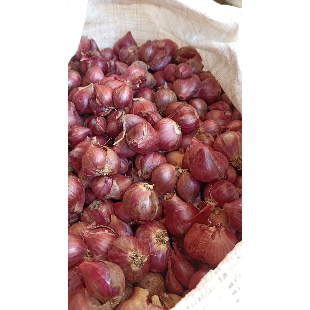 

bawang birma, bawang merah, setengah kilo ya 500gr
