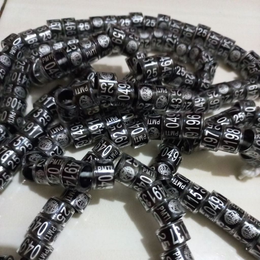 ring merpati PMTI 2025