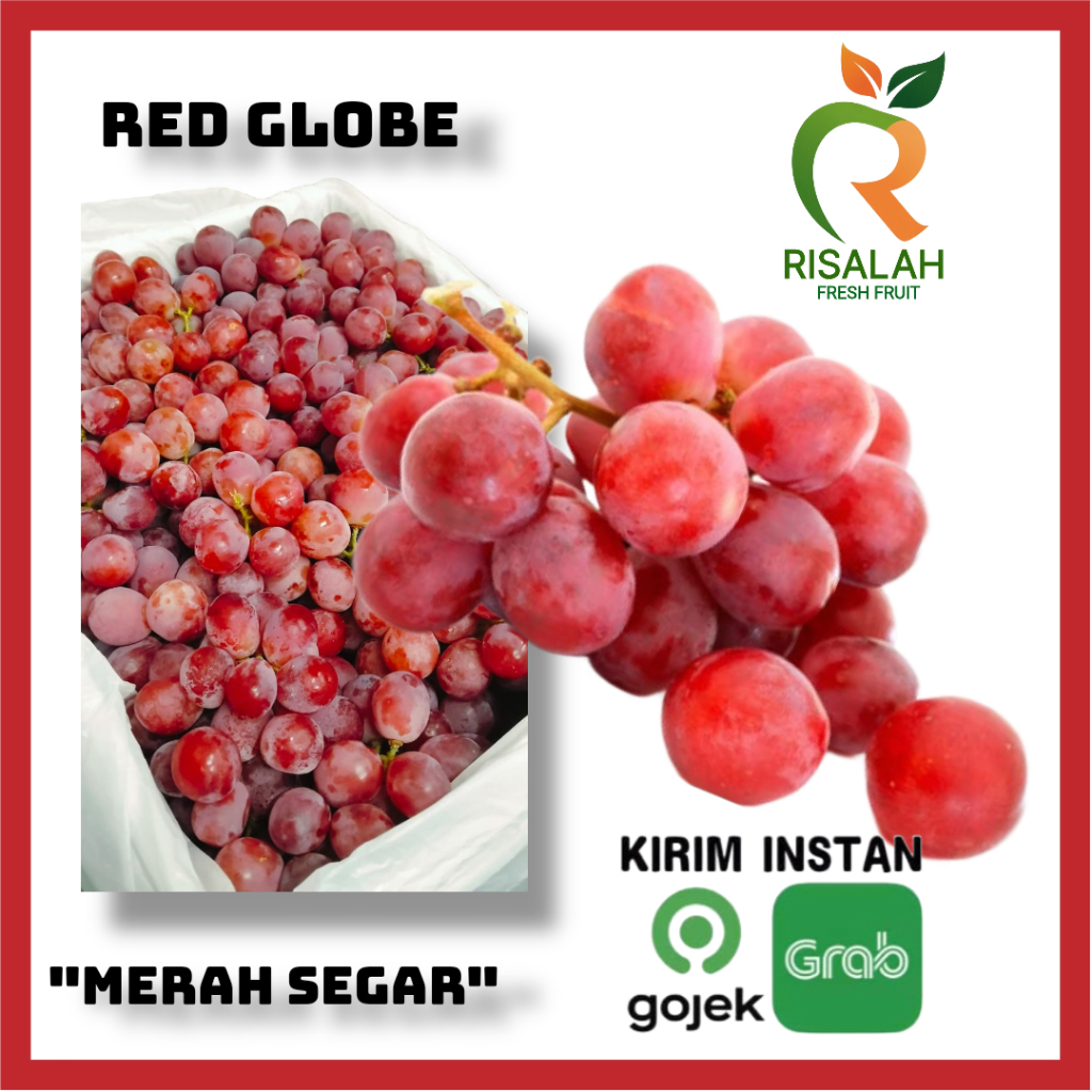 

Anggur Red Globe Australia 500gr & 1Kg Buah Segar Resveratrol tinggi Sehat Jantung