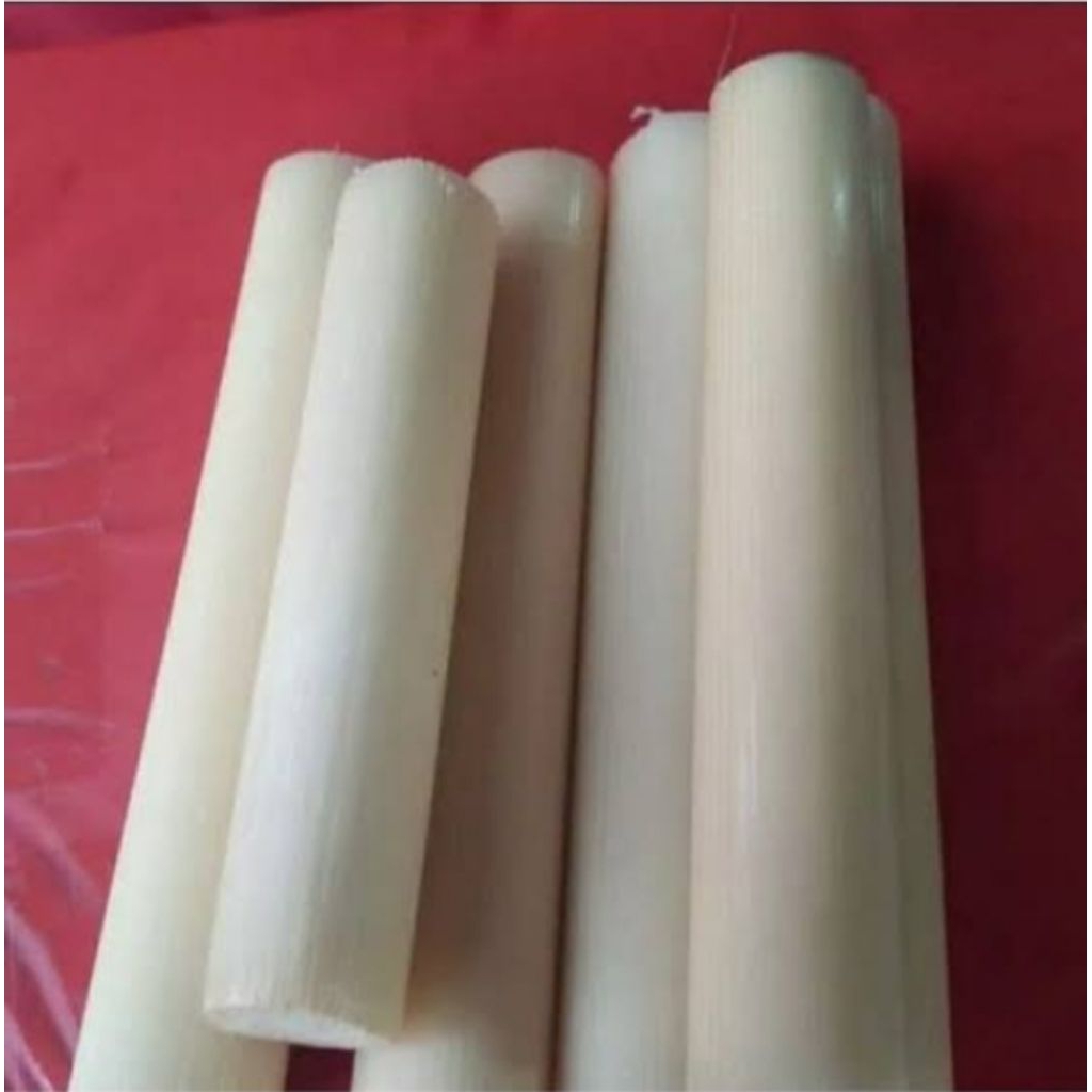 

kecombrang muda/ 10 pcs