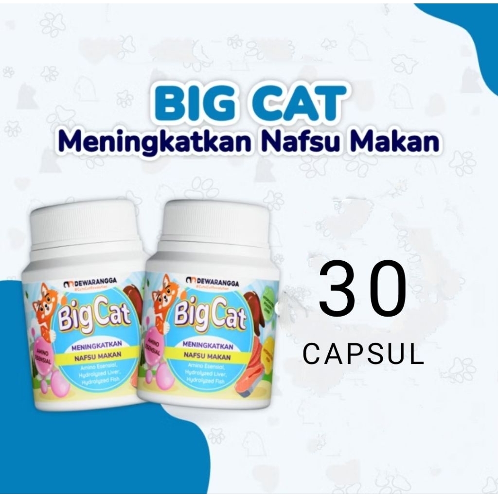 Vitamin kucing big cat dewarangga - obat nafsu makan dan penggemuk kucing