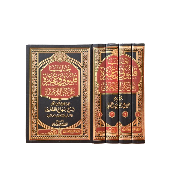 Hasyia Qolyubi Wa Umairoh حاشيتا قليوبي و  عميرة على كنز الراغبين