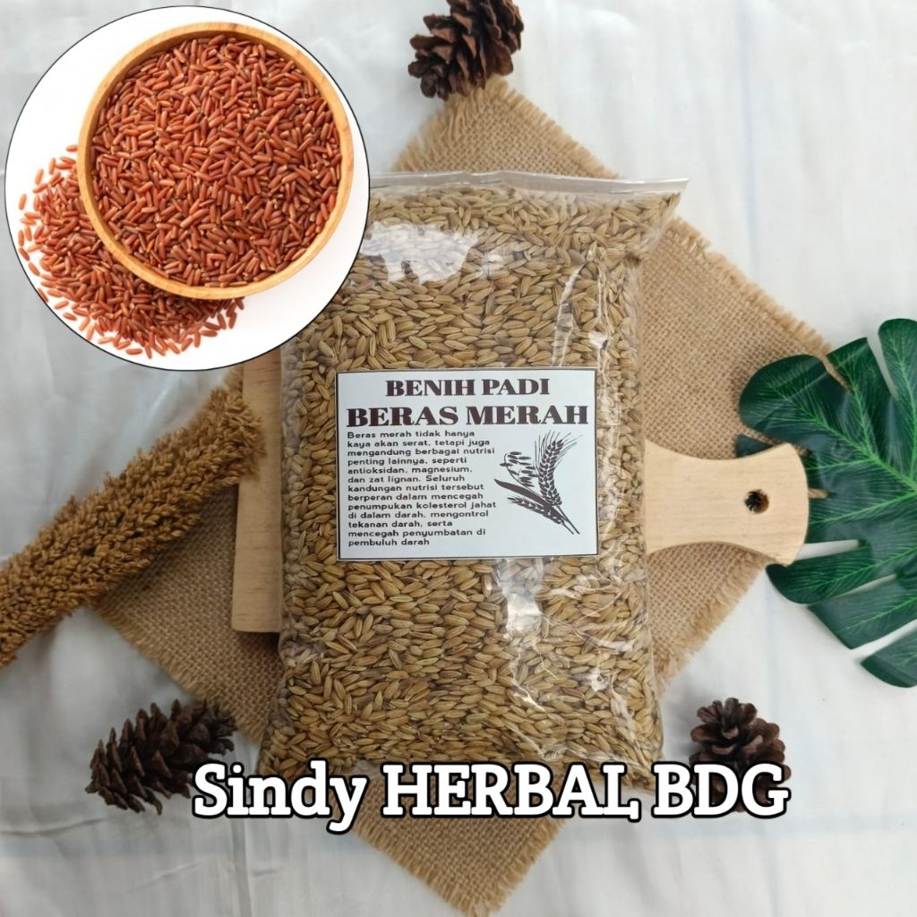 Benih Padi Beras Merah Per 1 Kg Asli Unggul