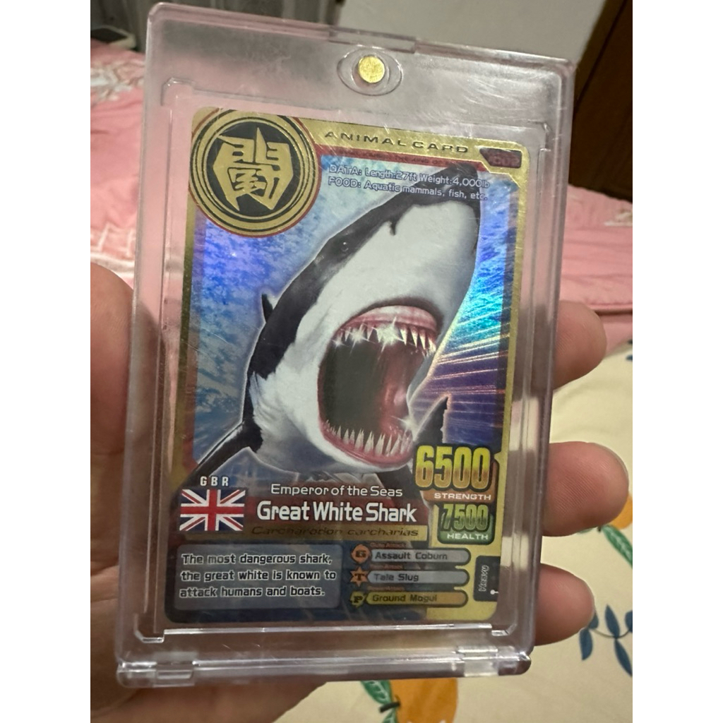 Kartu Animal Kaiser+ versi 1 Original Great White Shark Gold Card