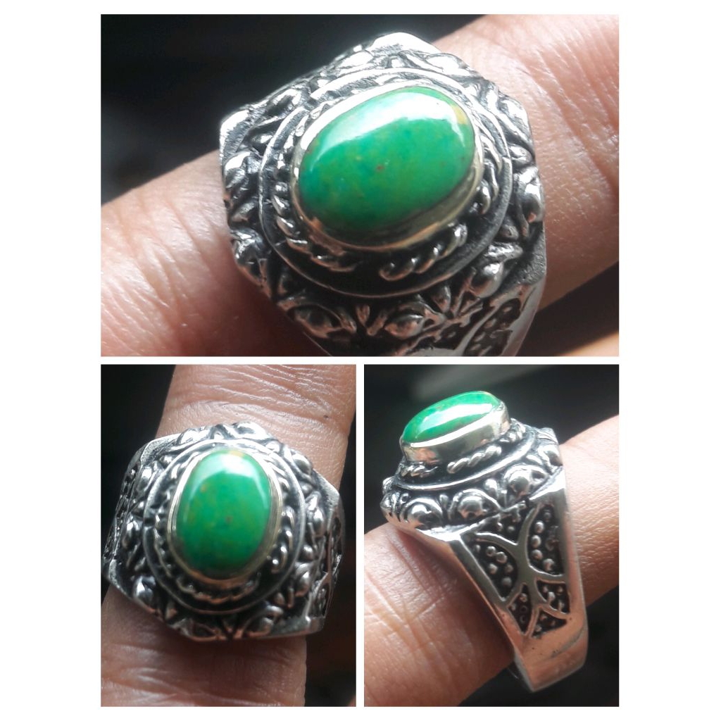 natural pirus Persia polos