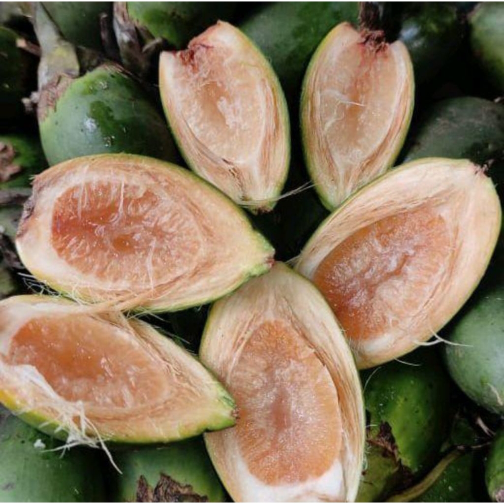 

buah pinang muda fresh 1kg super murah di Ambil ketika ada orderan