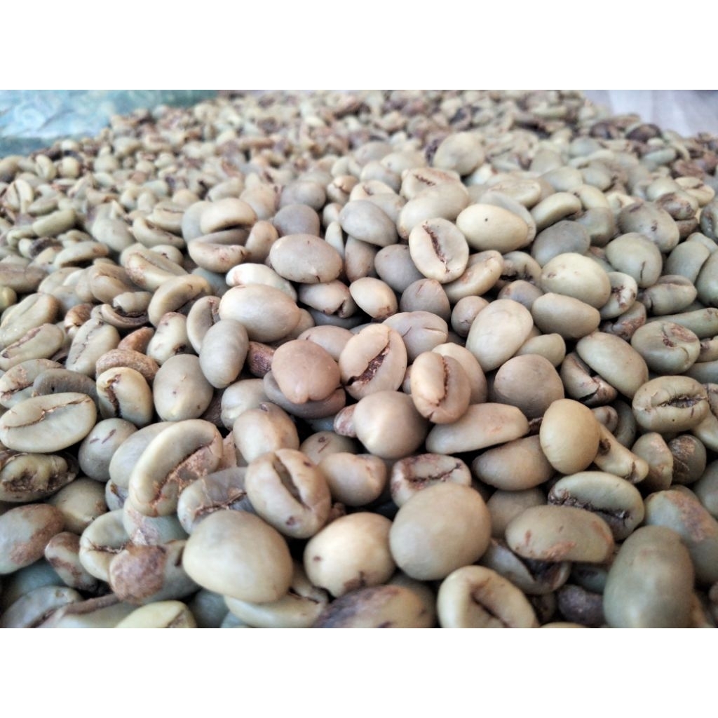

AROMA KOPI
