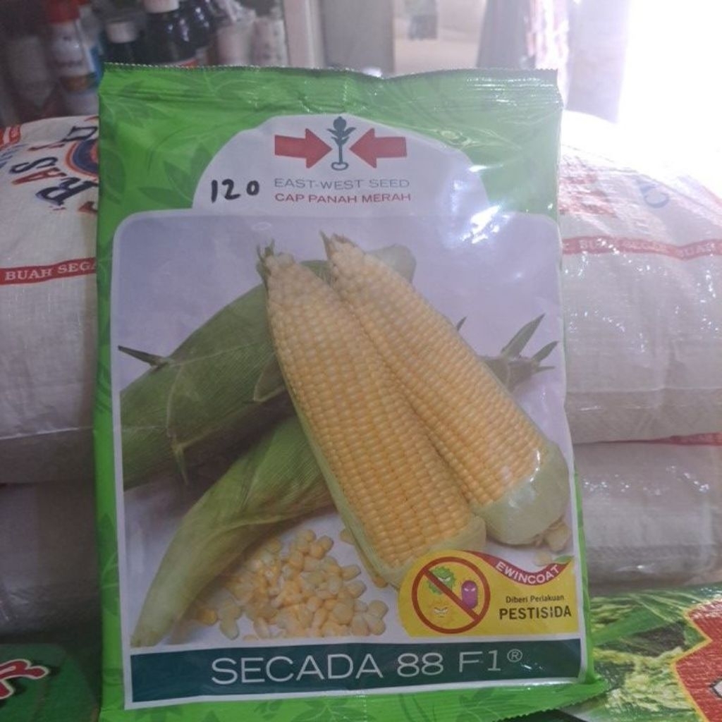 Benih Bibit Jagung Manis Secada 88 F1 isi 1750btr Cap Panah Merah