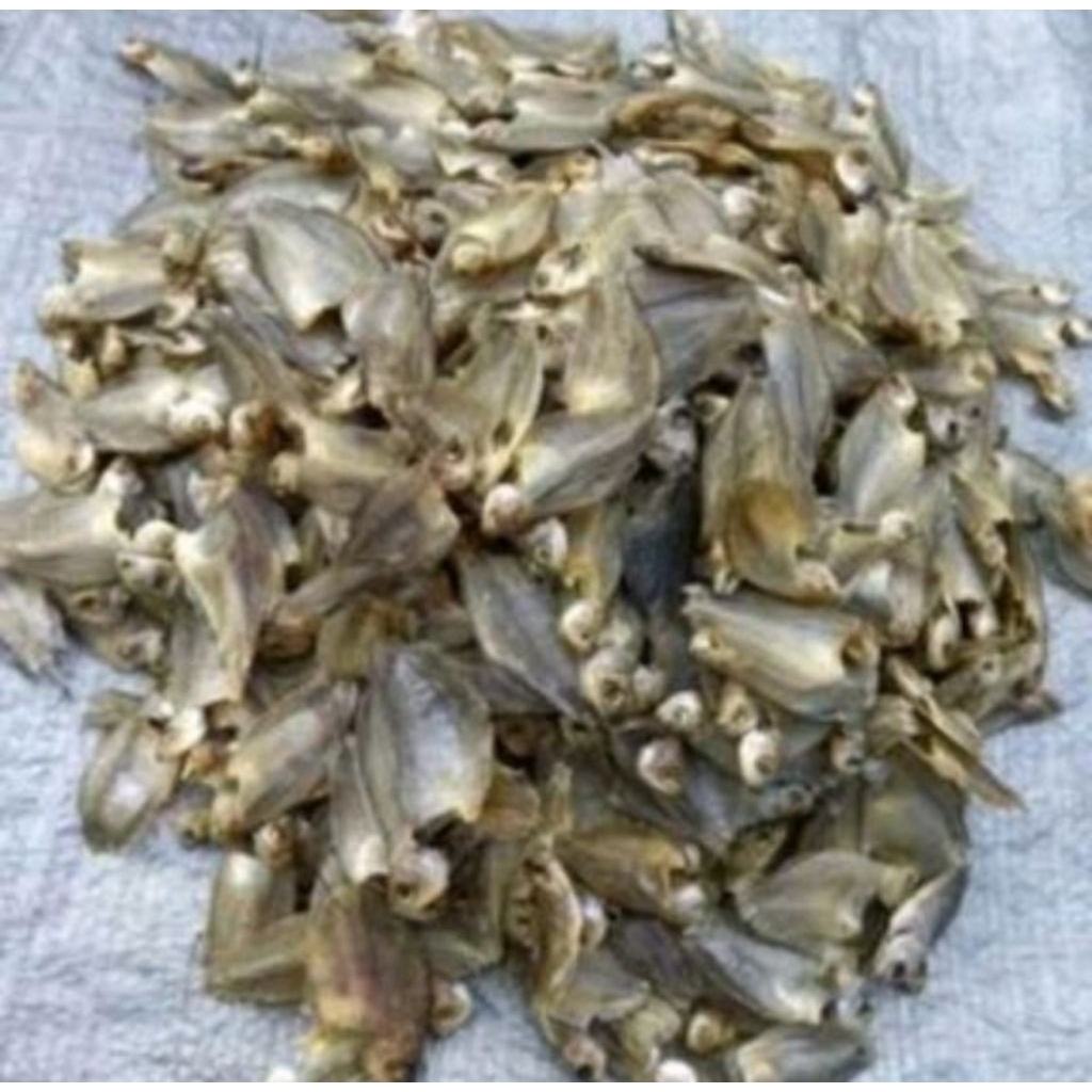 

1 KG Sepat karing/kering dari Martapura.