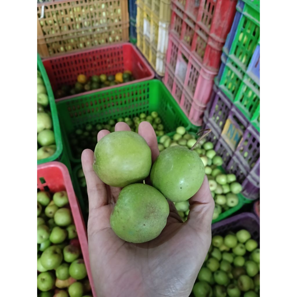 wanglin mini sekilo 25-30 dalam 1kg