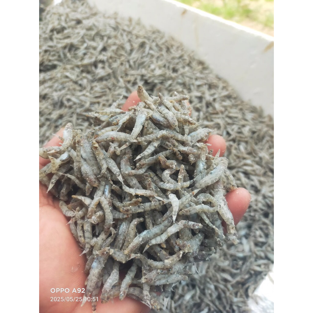 

Penja/Nike ikan asin ikan teri
