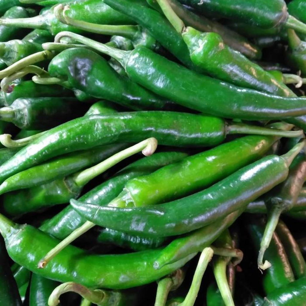 

Cabai Hijau Besar Segar Tersedia Ukuran 250g/500g/1Kg