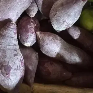 

UBI UNGU / BOLED UNGU 1kg