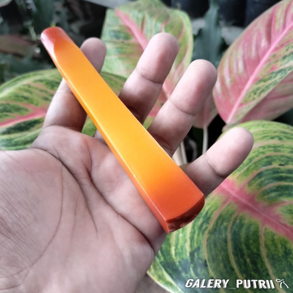 Pipa once / once cangklong sari gading 99 / srigading 99 lawasan / serbuk tulang mirip 99 lawasan mo