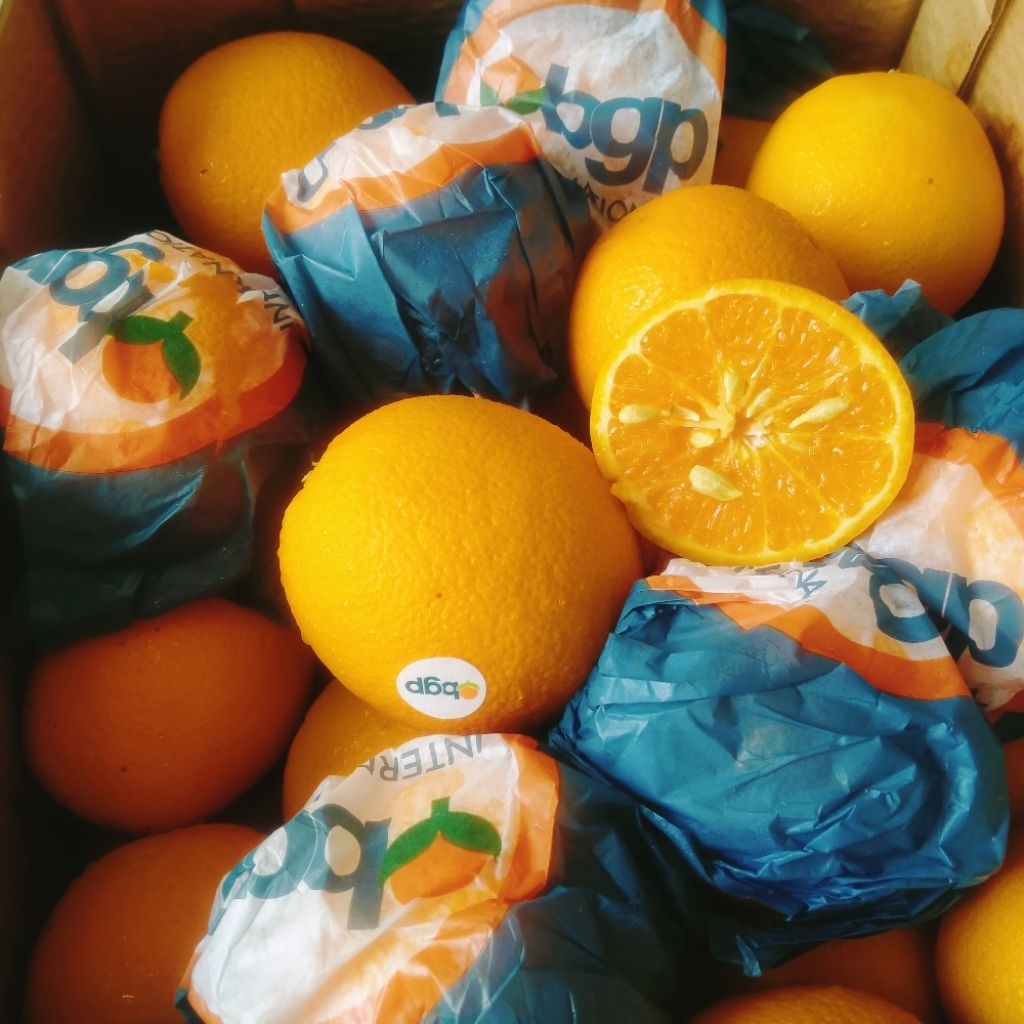 

JERUK SUNKIST VELENCIA MANIS SEGER PERKG
