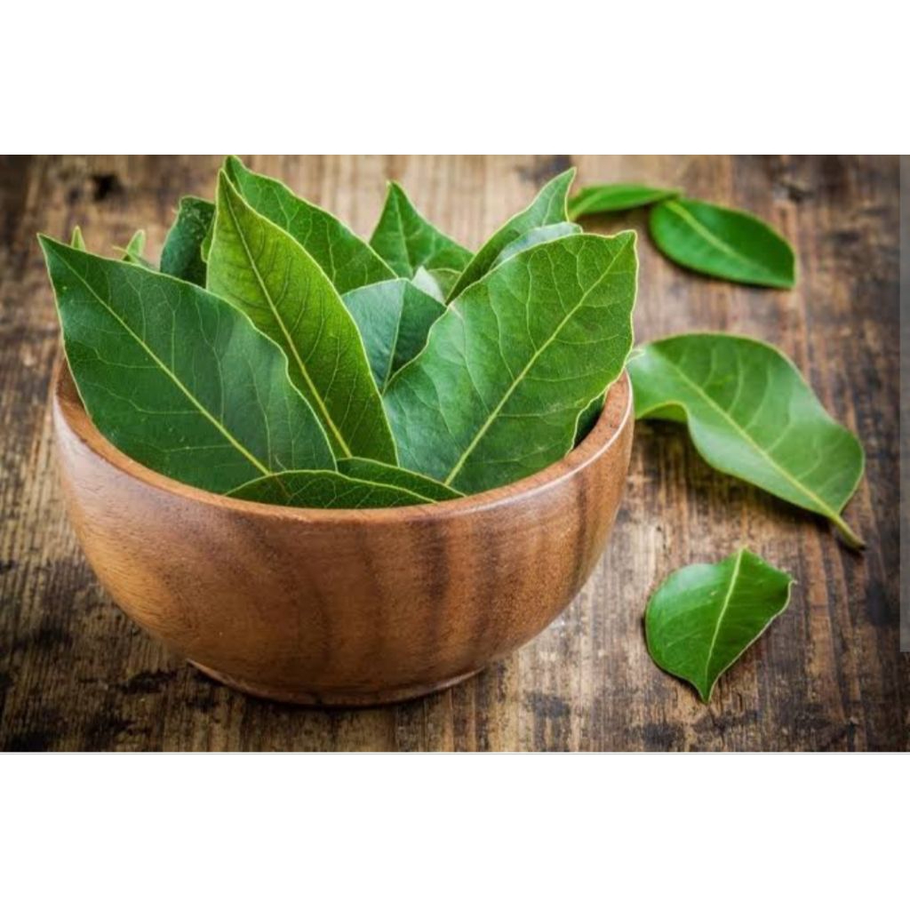 

Daun salam neto 500gr