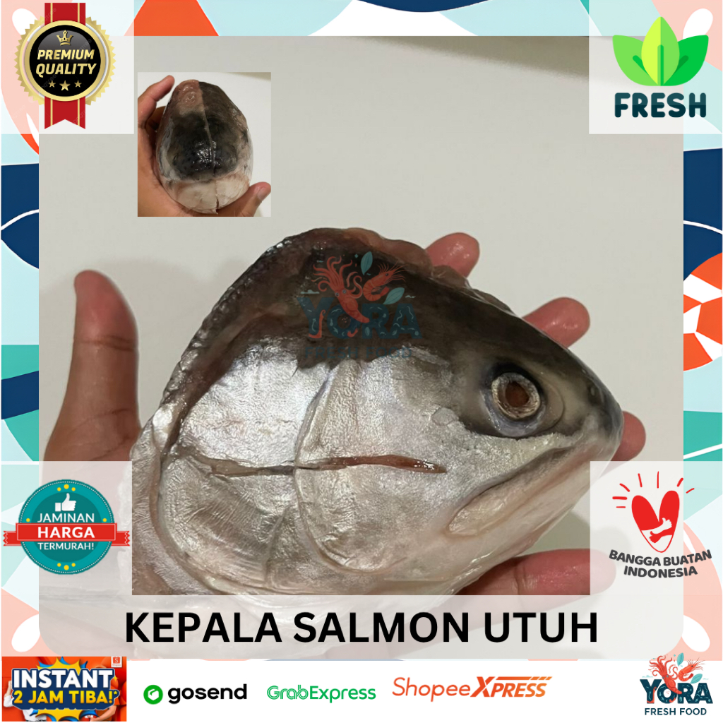 

KEPALA SALMON INSTAN PREMIUM TERMURAH