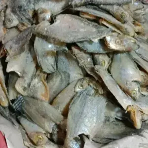

IKAN ASIN SEPAT KECIL 100gram