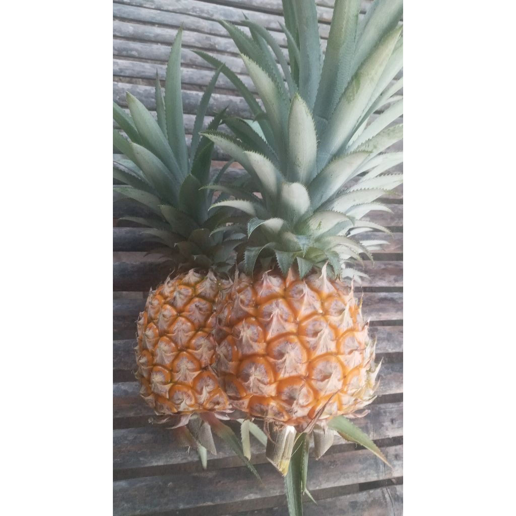 

nanas