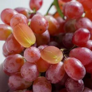

kirim instan/sameday/anggur crimson seedless 500g