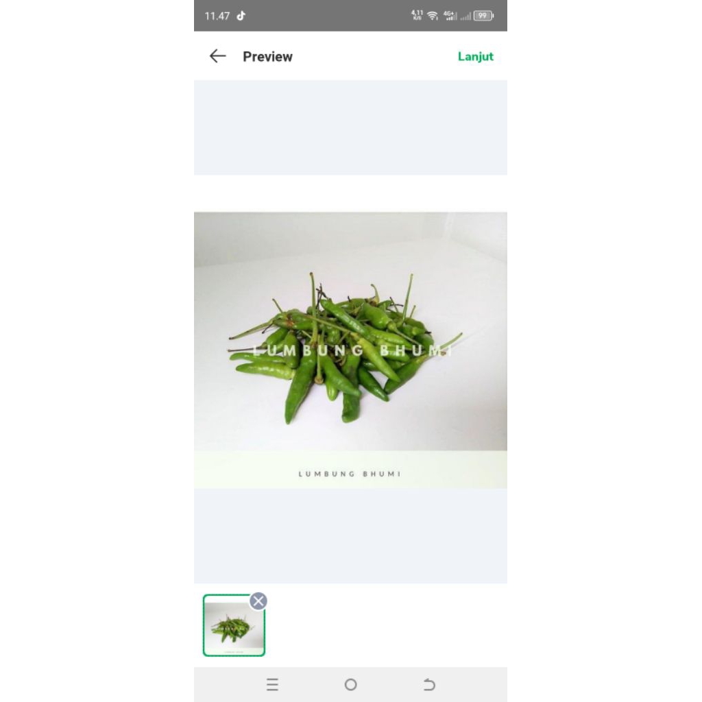 

rawit hijau 50 gram