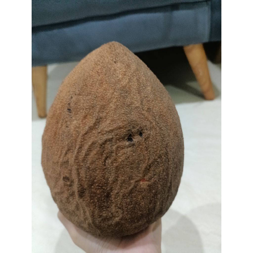 mamey sapote