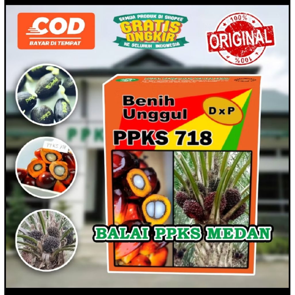 bibit benih kecambah sawit ppks 718