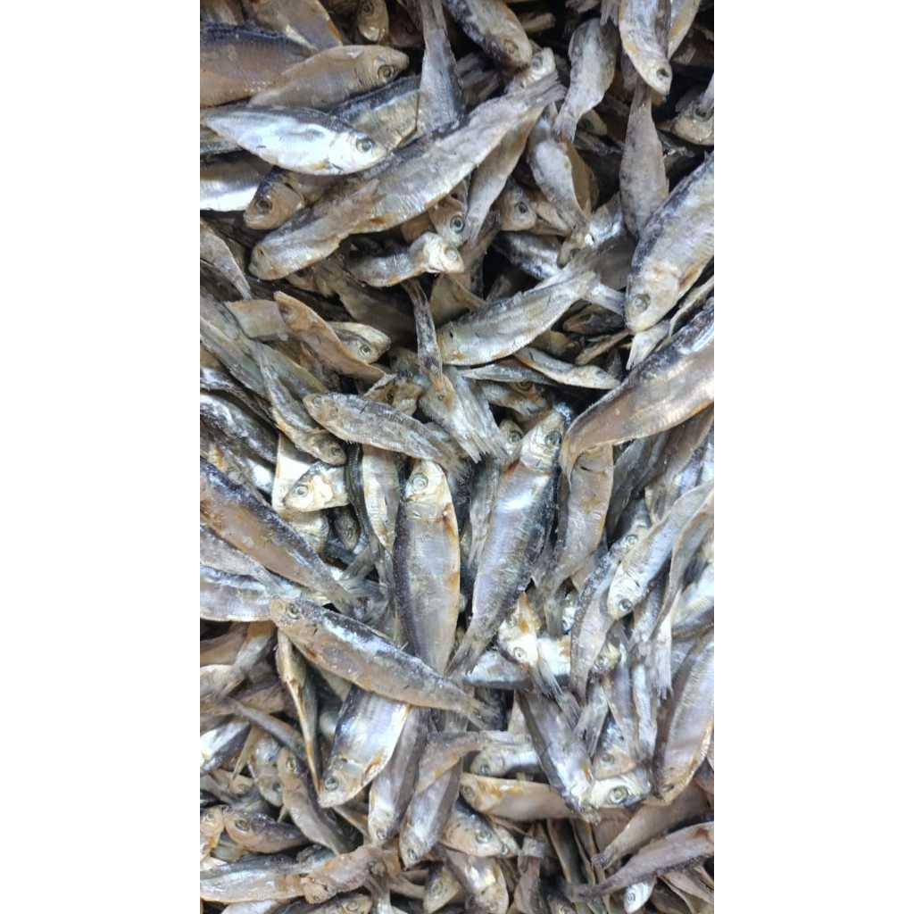 

ikan asin ninis super 1kg