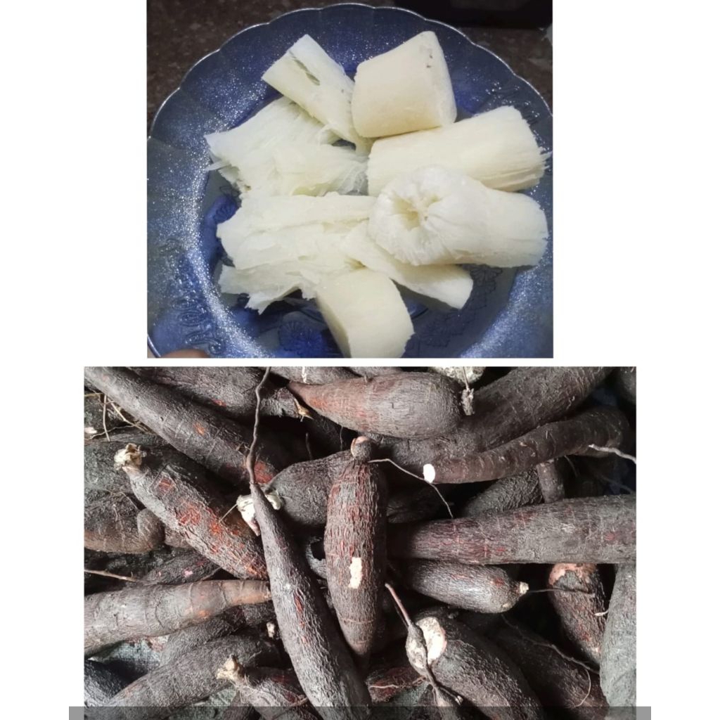 

Menyok Medhuk Pohong Singkong Medhuk 1kg