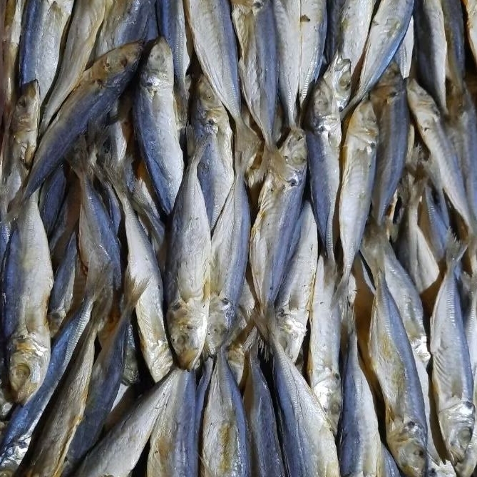

Ikan Asin Japuh Layang Kering Gurih – Tidak Terlalu Asin | Siap Goreng & Tahan Lama | 250g / 500g / 1Kg