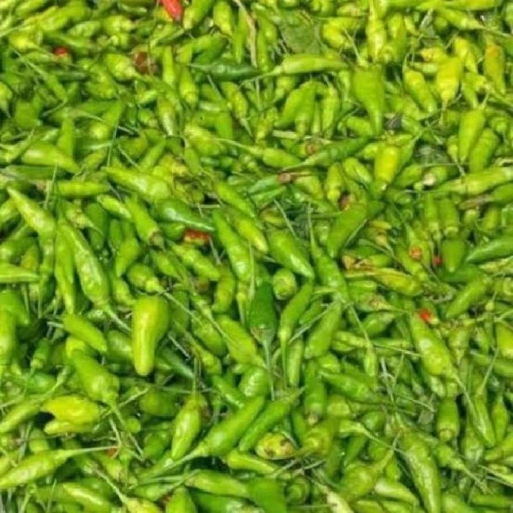 

cabe rawit ijo 250gr/500gr/1kg