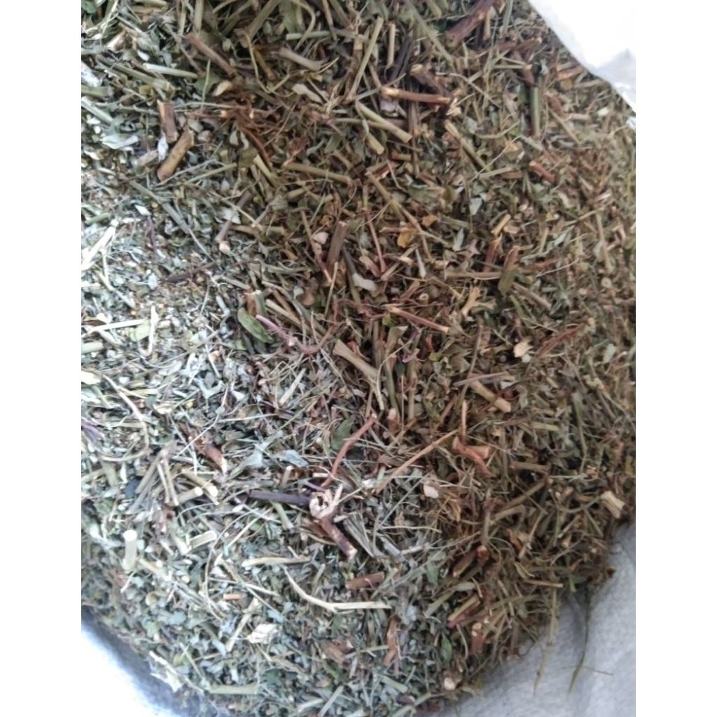 

Daun Meniran 250gram Full Bagian Tanaman