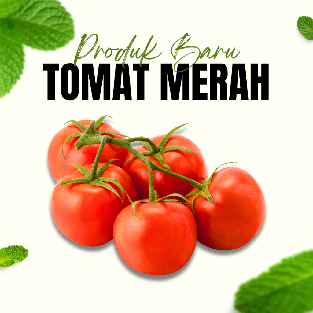 

Sayuran Tomat Segar 100gram / Tomat Merah / Sayur Sehat / Sambel Tomat /Masakan Tomat