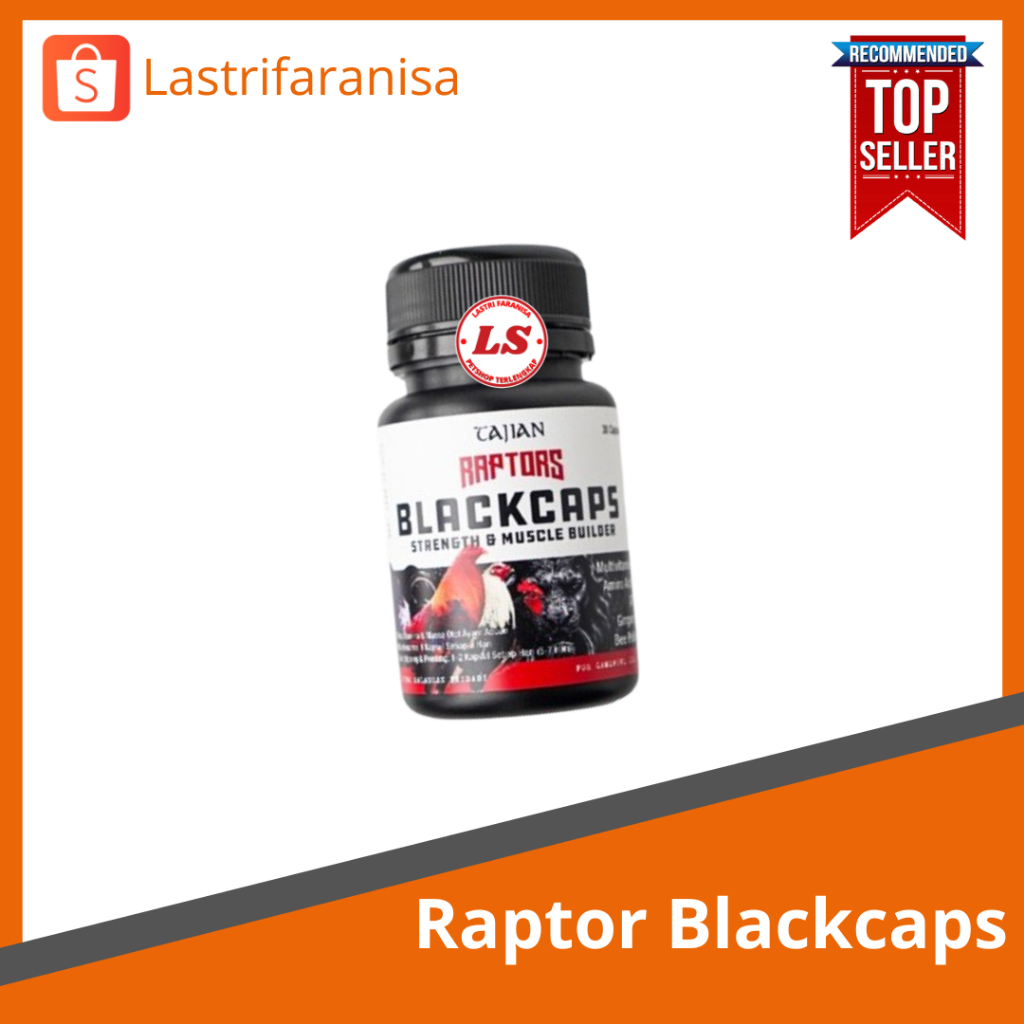 RAPTOR BLACKCAPS Ayam Doping Raptor Kapsul Ayam Bangkok Juara Stamina