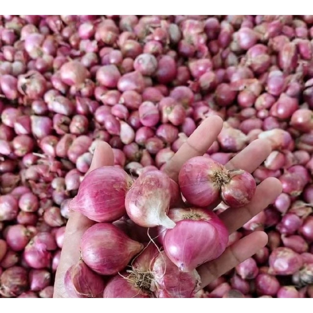 

BAWANG MERAH KERING 1Kg ukuran kecil