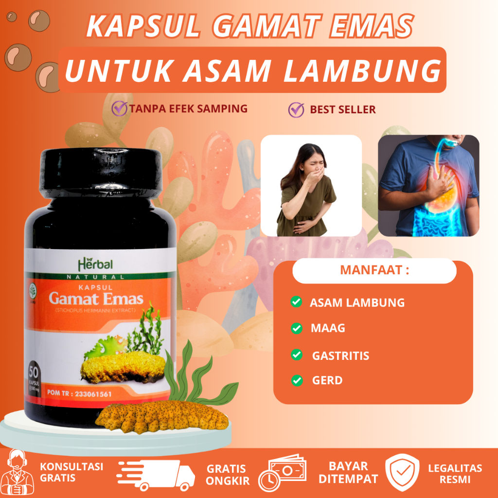 Kapsul Gamat Emas - Obat Atasi Asam Lambung, Gerd, Gastritis, Maag, Dan Infeksi Lambung