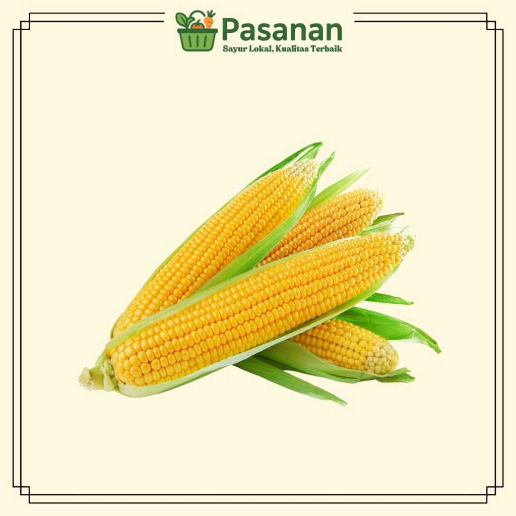 

Jagung Manis Kupas - Manis Segar Siap Rebus |Pasanan