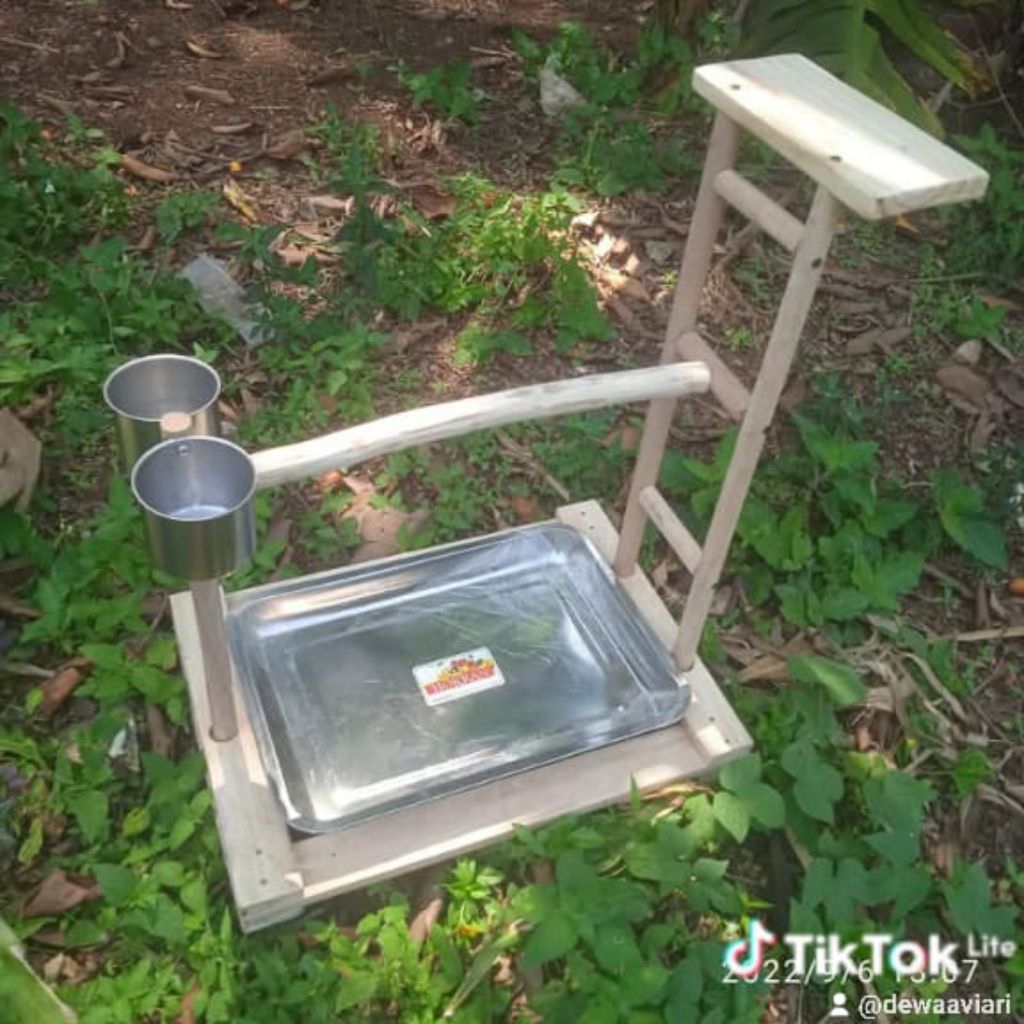 Tangkringan kandang burung Nuri