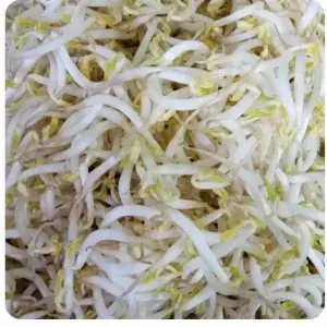 

TOGE FRESH LOKAL 2 KG