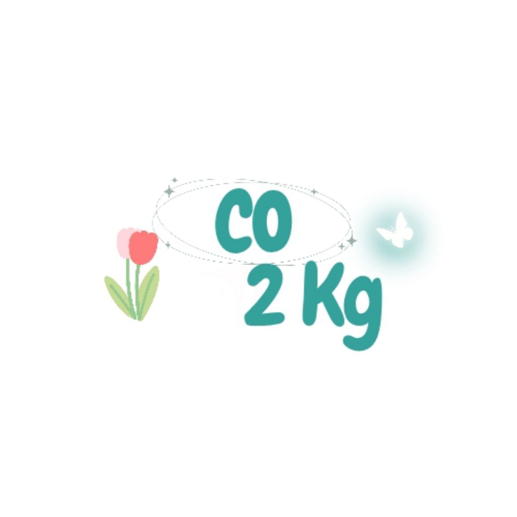 

co 2kg