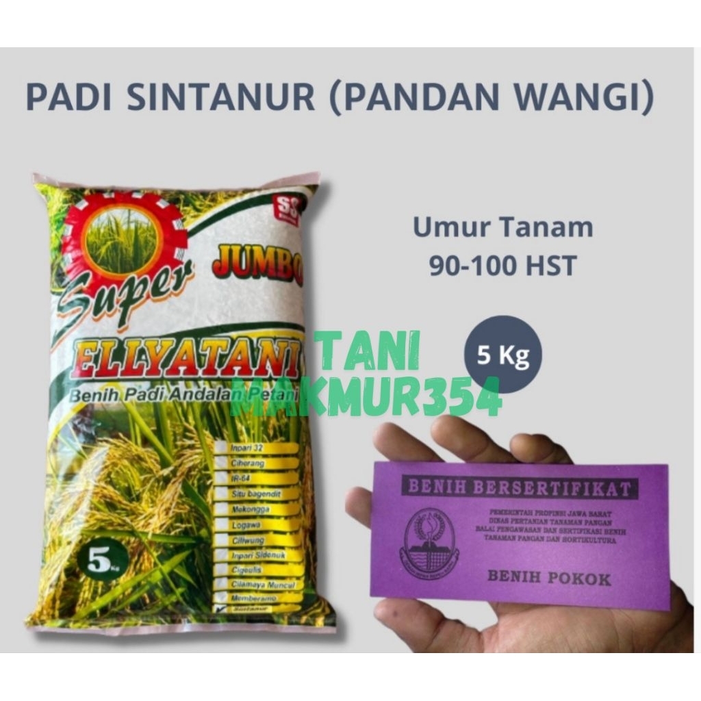 

Sintanur premium JUMBO 5kg