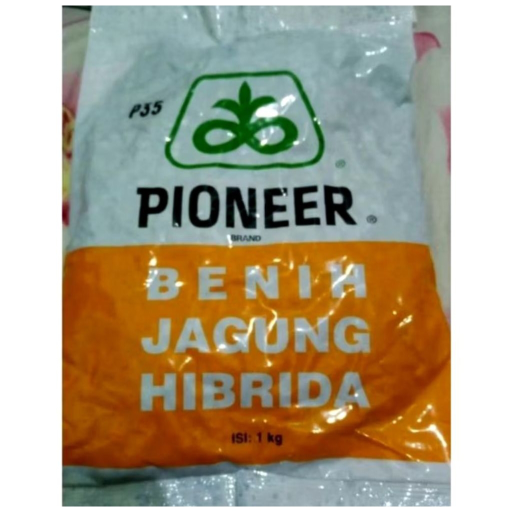 Bibit jagung Pioneer p35