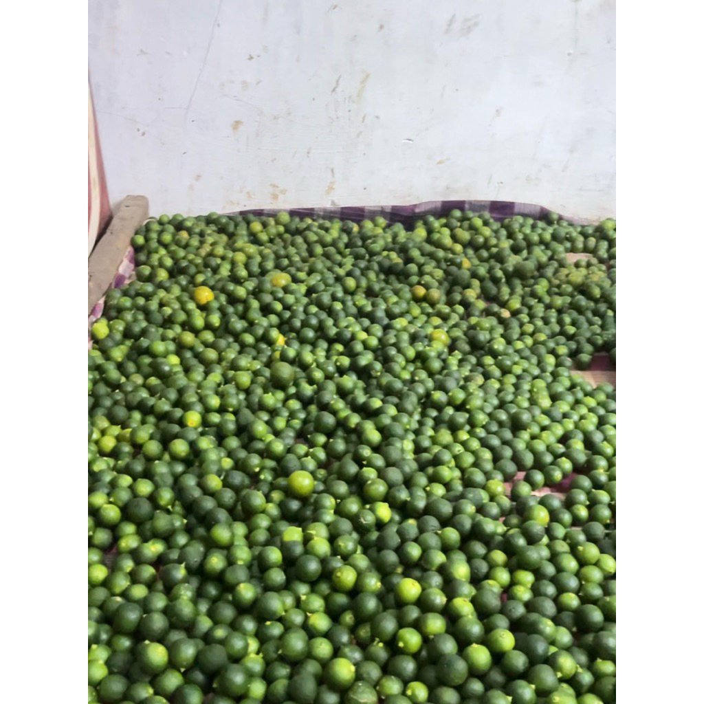 

1KG jeruk sonkit jeruk kunci jeruk kasturi lemon cui