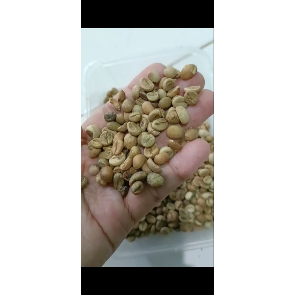 

Green Bean/Biji Kopi Mentah Robusta Natural Toraja Grade 1