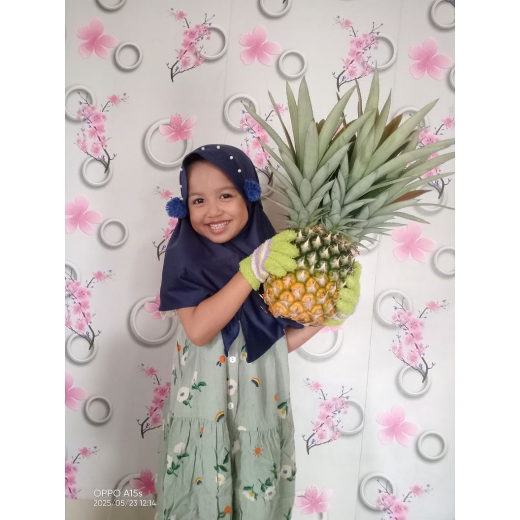

nanas madu